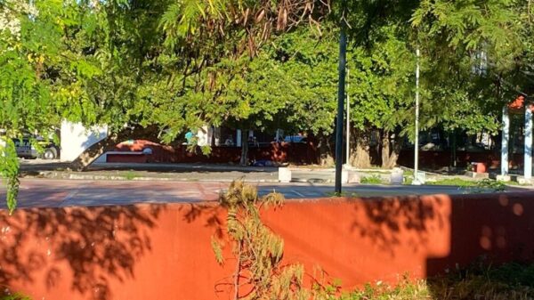 Hallan un ejecutado en un parque de la Región 221 de Cancún (VIDEO).
