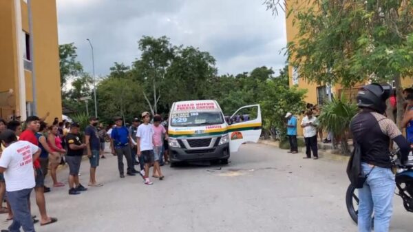 Un más de choferes de Maya Caribe; ahora arrollan a otra mujer en Cielo Nuevo.