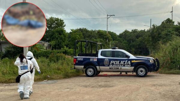 Dejan cuerpo embolsado en la Supermanzana 204 de Cancún.