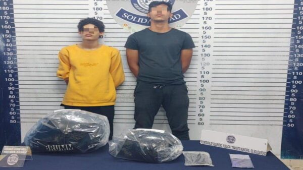 Detienen a dos sicarios tras ataque en la Quinta Avenida.