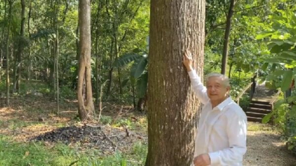 Recibe el presidente AMLO felicitaciones por sus 69 años y agradece con un mensaje (VIDEO).