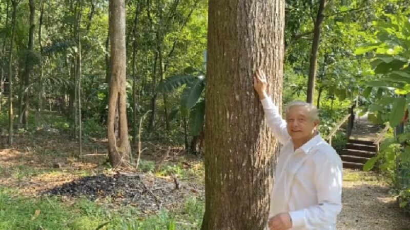 Recibe el presidente AMLO felicitaciones por sus 69 años y agradece con un mensaje (VIDEO).