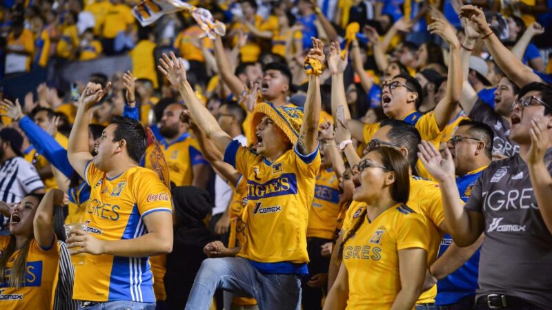 ¡Bombazo! accidentalmente revelan al nuevo integrante de los Tigres