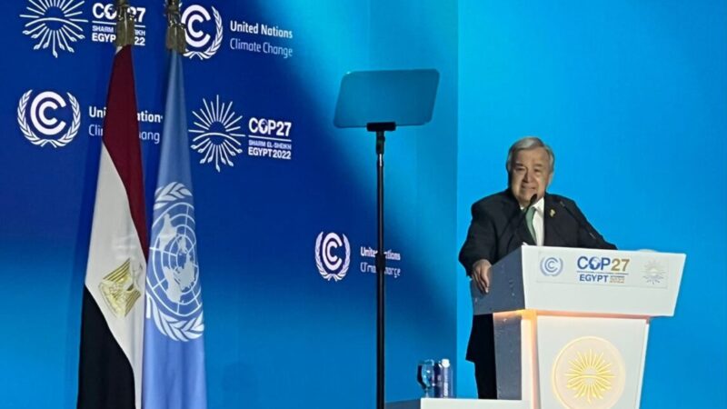 La humanidad debe “cooperar” ante el cambio climático o “morir”: ONU