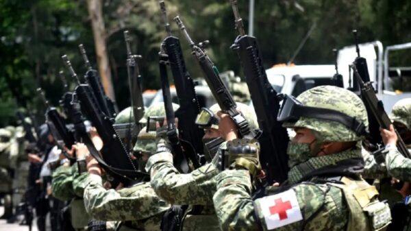 Publica DOF participación de FA en seguridad hasta 2028