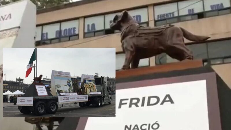 Anuncia Semar evento de despedida a la perrita Frida