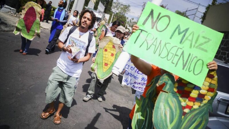 México no acepta presiones de EU para introducir maíz transgénico
