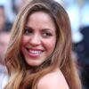 Shakira levanta rumores de romance con su profesor de surf