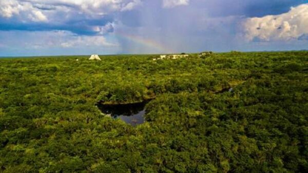 Gobierno recupera predio de 2 mil 400 hectáreas cerca de Uxmal
