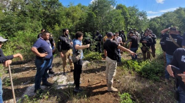 Hallan restos óseos en predio de la delegación Alfredo V. Bonfil.