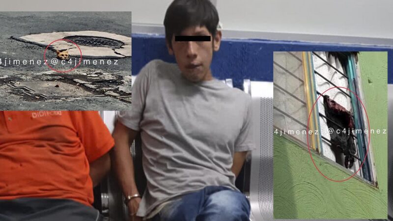 Detienen en CDMX a sujeto que mataba y desollaba gatos y perritos