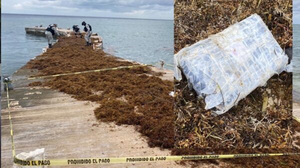 "Llueve" droga en Quintana Roo, recala cocaína en varias playas