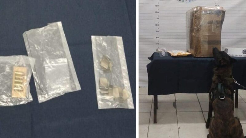 Aseguran droga y cartuchos en operativos en Playa del Carmen.