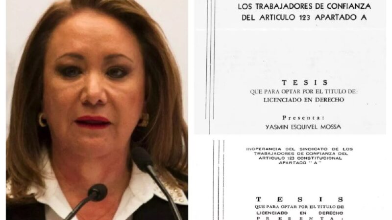 Fueron dos quienes copiaron y alteraron tesis de ministra Esquivel