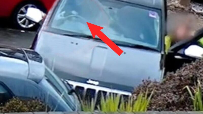 Perrito travieso estrella el auto de su dueña