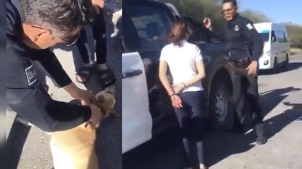 Policía héroe rescata a perrita y detiene a su maltratadora