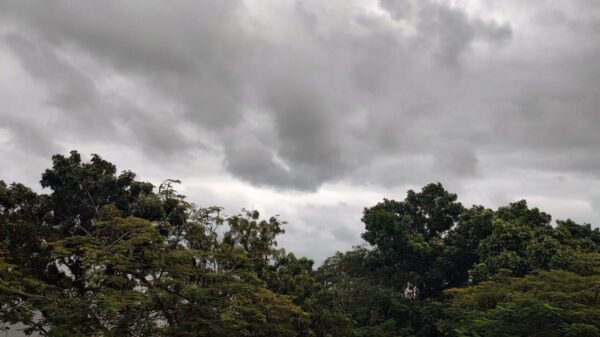 Pronóstico del clima para hoy sábado 24 de diciembre en Quintana Roo