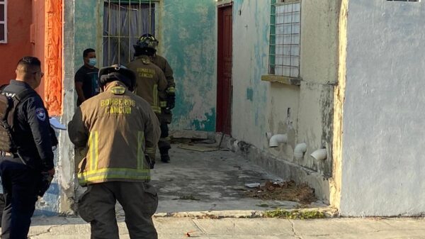 Encuentran cadáver en descomposición en la SM 91 de Cancún