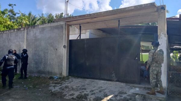 Aseguran a 282 indocumentados en la Zona Sur de Quintana Roo.