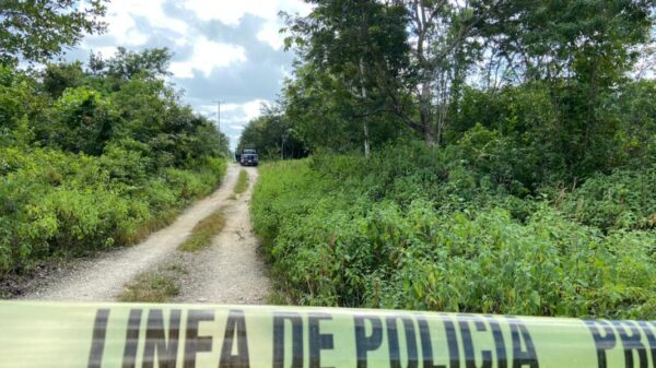 Hallan restos humanos en la colonia irregular El Trébol en Cancún (VIDEO).