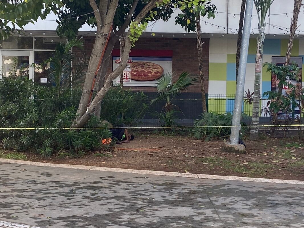 Localizan sin vida a indigente en El Crucero de Cancún; el cuerpo de un sujeto como de 45 años se halló en una jardinera.