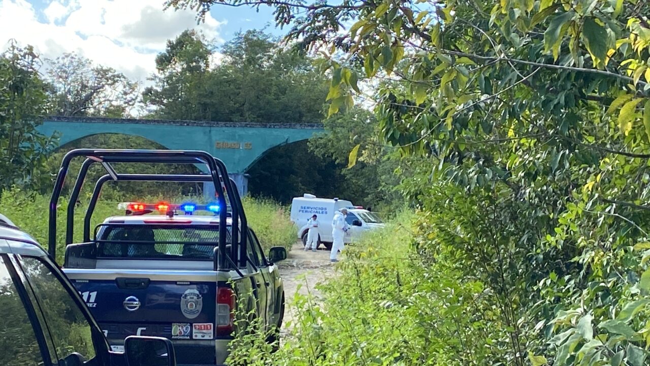 Presunto contratista levantado fue hallado muerto en la colonia Chiapaneca de Cancún (VIDEO); el cuerpo estaba en una zona selvática.