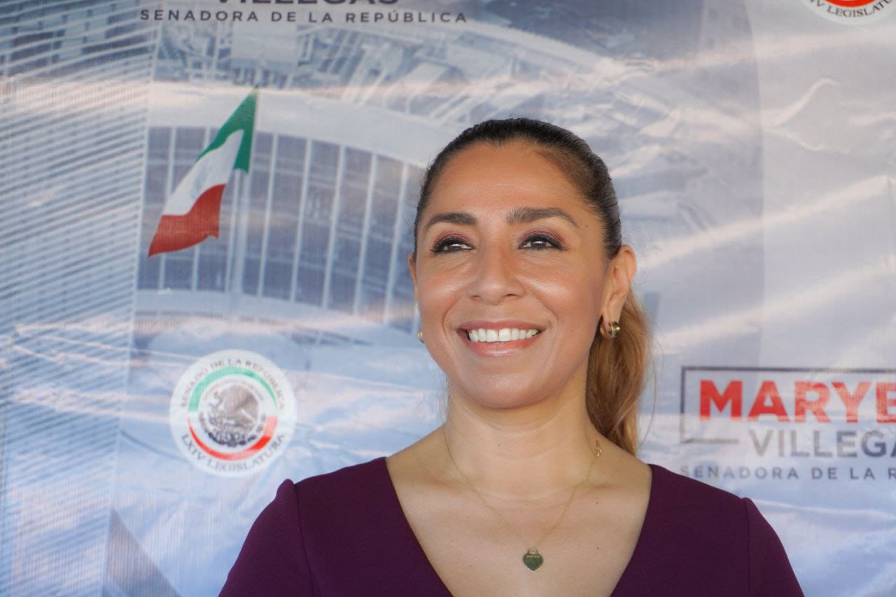 La senadora morenista recordó que este 2022 se aprobaron diversas reformas a las leyes en materia militar, laboral, electoral y de seguridad social, entre otras.