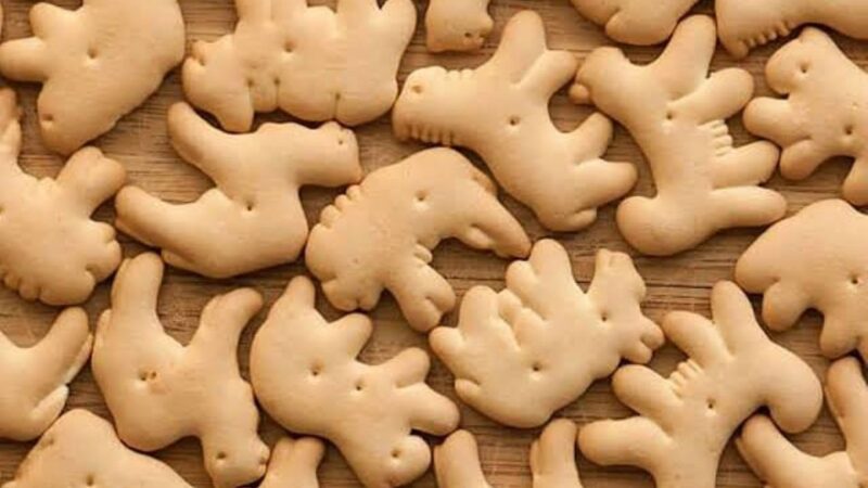Galletas de animalitos, antojo muy peligroso para la salud.