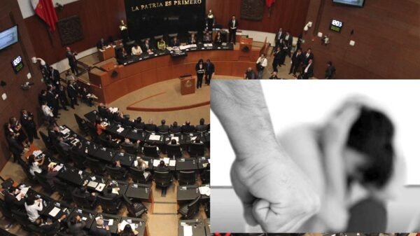 Refuerza senado garantías de legítima defensa a mujeres agredidas