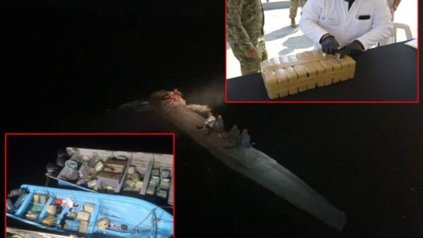 Golpe al narcotráfico marítimo en las costas de Chiapas (VIDEO).