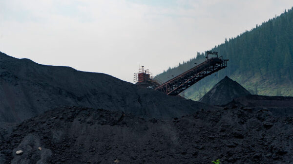 El petróleo podría subir por encima de los 100 dólares el barril en 2023: aquí el por qué