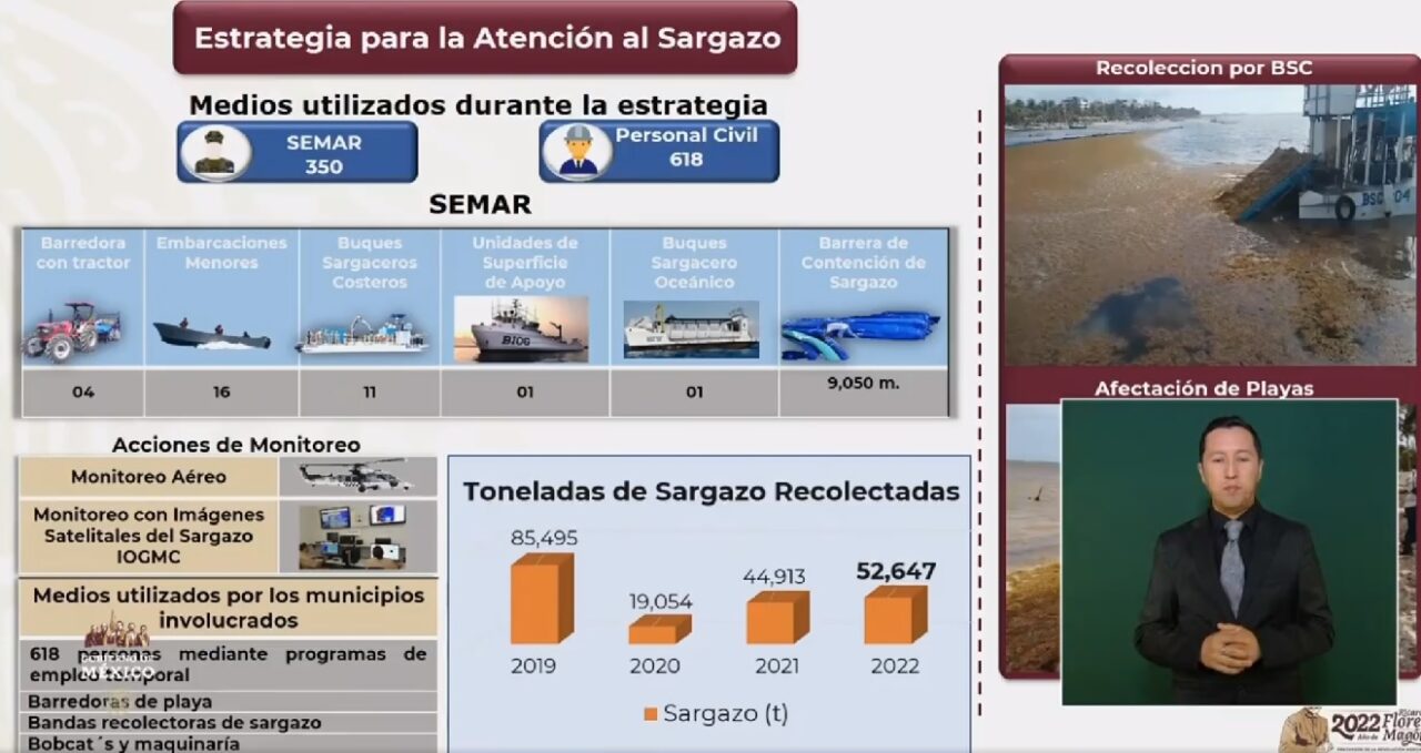 Marina ha recolectado 52 mil toneladas de sargazo en Quintana Roo; el secretario Ojeda Durán dio a conocer las acciones emprendidas.