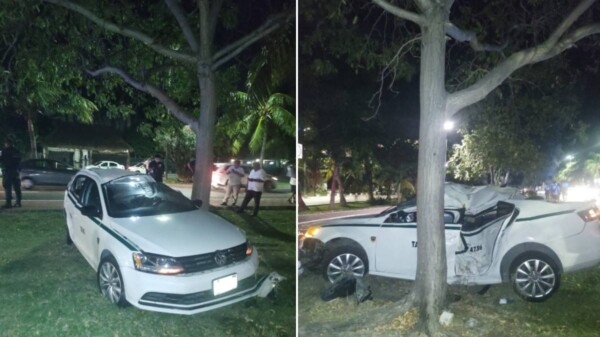 Taxista de Cancún termina incrustado en un árbol en la Zona Hotelera.