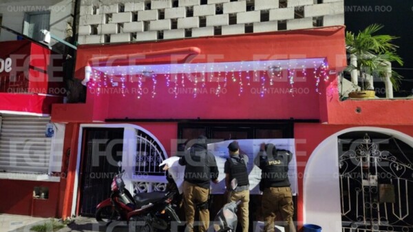 Cozumel: Decomisan cartuchos y drogas en cateos a viviendas.