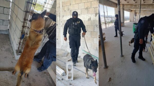 Operativo antidrogas en la zona hotelera de Cancún