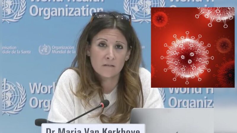 Causa preocupación nueva variante "Kraken" del Covid-19