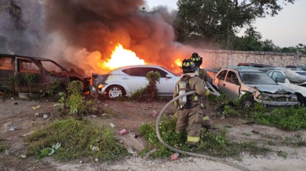 Incendio daña 13 vehículos en el corralón de Grúas Cardona en Cancún.