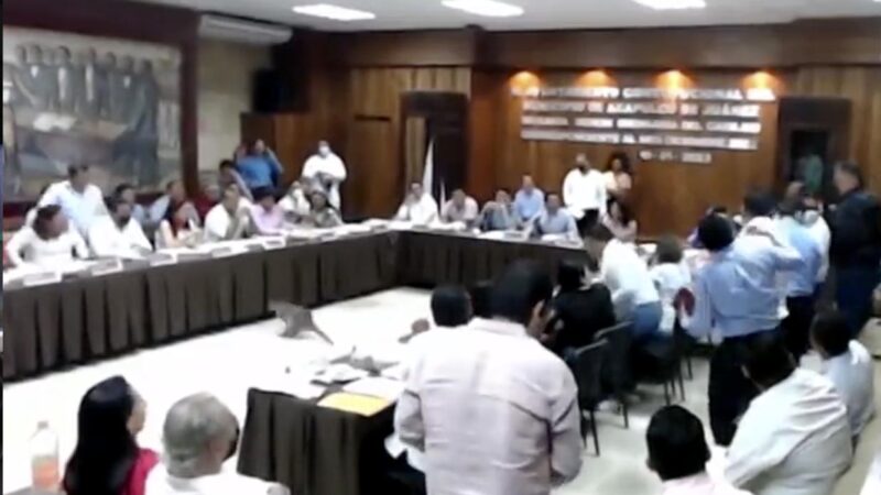 Mapaches acaban con sesión de cabildo en ayuntamiento de Acapulco