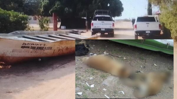 Envenenan a 40 perritos en comunidad de Sonora