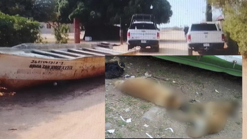 Envenenan a 40 perritos en comunidad de Sonora