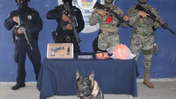 Decomisan droga y un arma de fuego en una obra en Puerto Cancún.