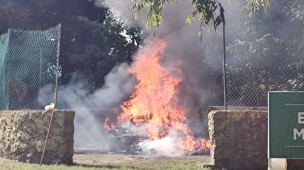 FGR Quintana Roo destruye narcóticos y objetos delictivos.