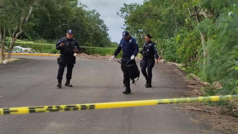 Localizan arma larga en el fraccionamiento Vista Real en Cancún.