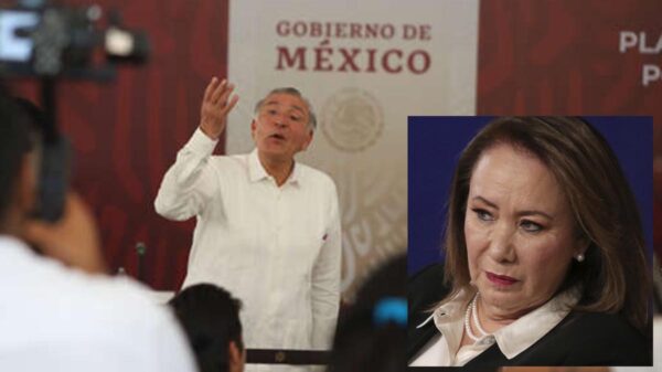 Analiza la SEP validez del título de de Yasmín Esquivel: Segob