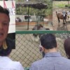 Empleados del zoológico de Guerrero vendían y se comían a los animales