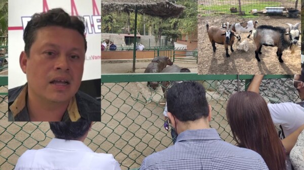 Empleados del zoológico de Guerrero vendían y se comían a los animales