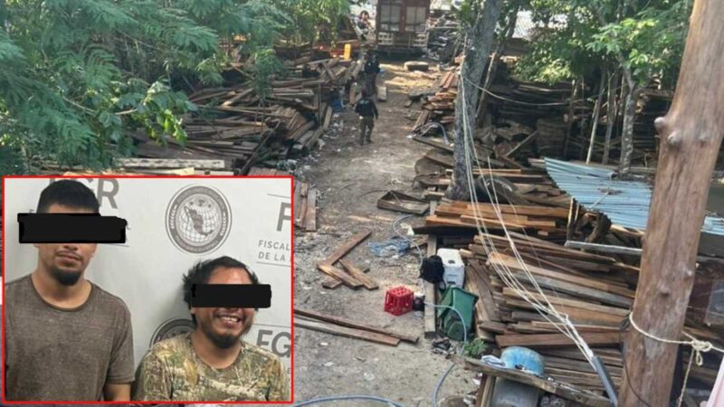 Detiene la FGR a dos taladores clandestinos en Playa del Carmen.