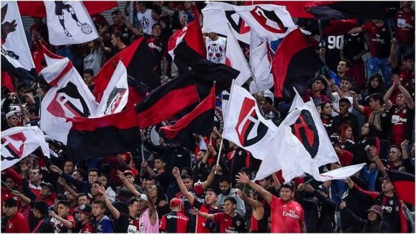 VIDEO: Aficionado pide matrimonio y le dicen que NO