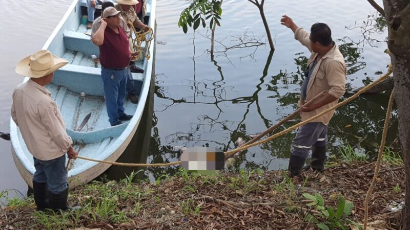 Cocodrilo arrastraba un cadáver en la Laguna de las Ilusiones en Tabasco.