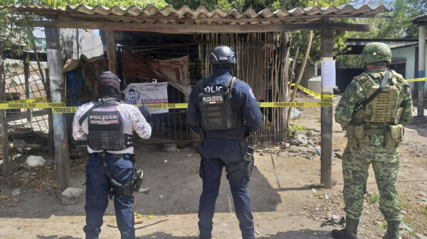 Cateo arroja decomiso de drogas en el sur de Quintana Roo